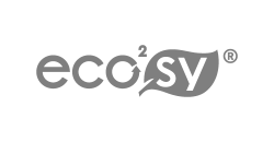 0-home-Ecosy-logo