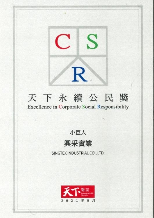 Excellence in Corporate Social Responsibility 2021