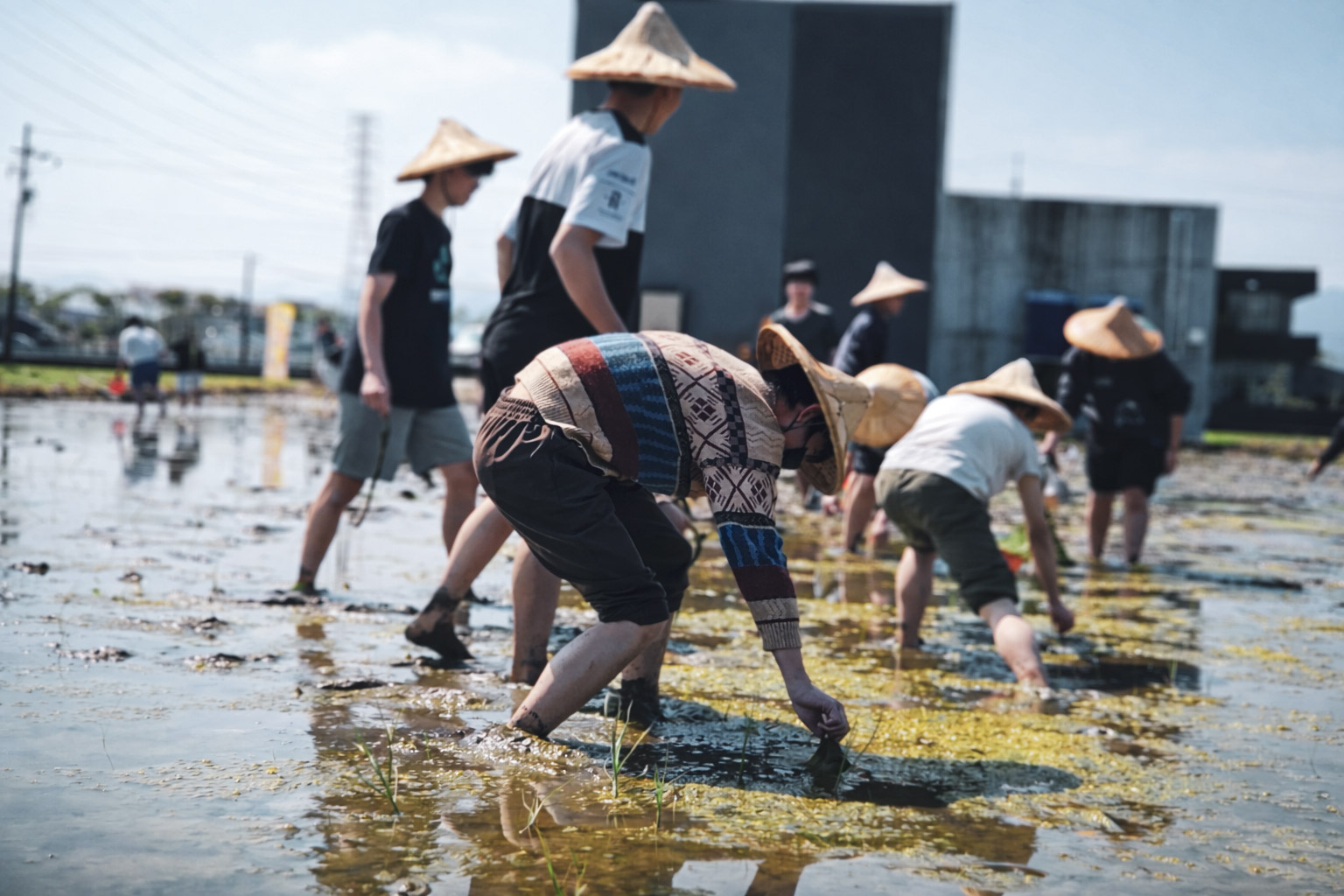 Stepping into the Fields, Sowing Seeds of Hope